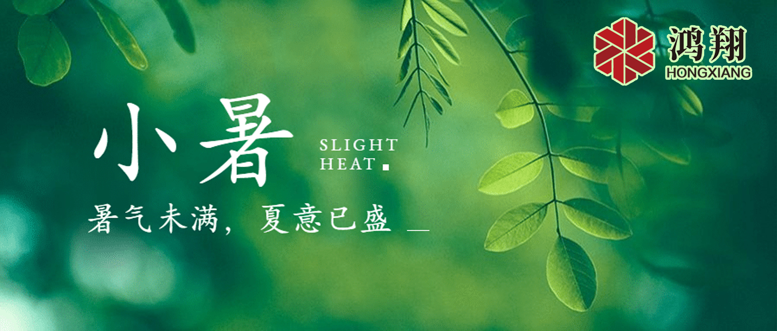 小暑| 标志着夏季的正式开始，也是一年中最热的时候之一